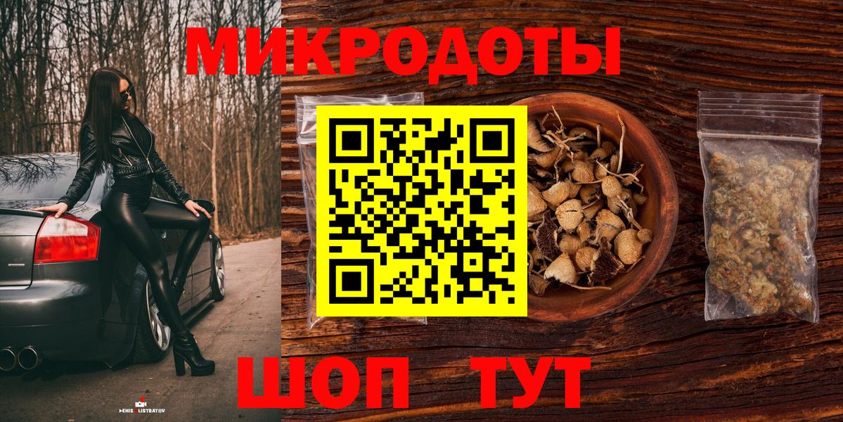 Галлюциногенные грибы Psilocybe Серпухов