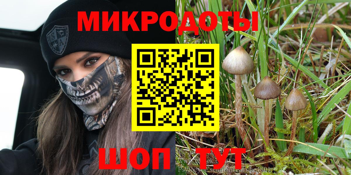 Серпухов  сколько стоит  Псилоцибиновые грибы ЛСД  Вход с VPN  Псилоцибиновые грибы GOLDEN TEACHER 